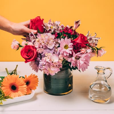 Arranging Flowers: A Creative Outlet